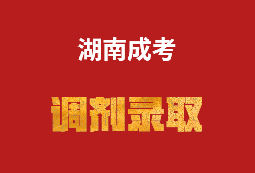湖南省成人高考調劑錄取