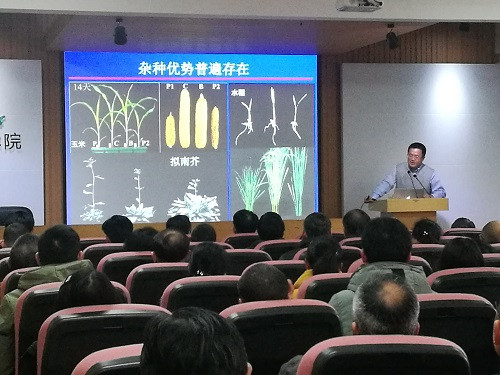 湖南農(nóng)業(yè)大學(xué)