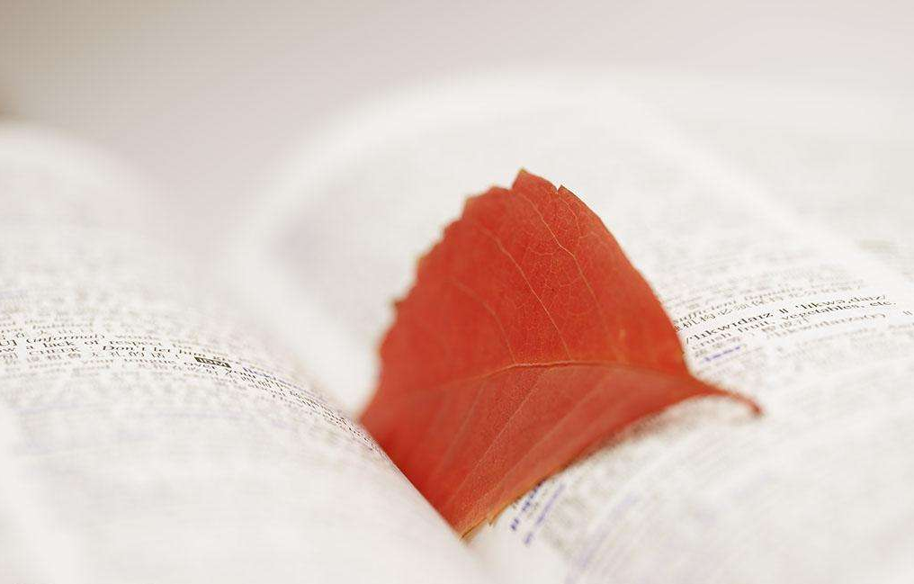 成考語(yǔ)文試題